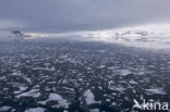 Spitsbergen