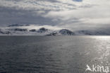 Spitsbergen