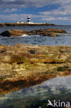 Hook Head