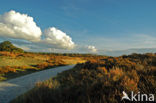 Nationaal Park De Hoge Veluwe