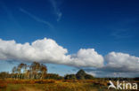 Nationaal Park De Hoge Veluwe