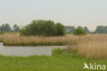 Polder Westzaan