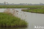 Polder Westzaan