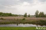 Polder Westzaan