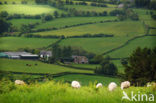 Brecon Beacons National Park