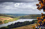 Brecon Beacons National Park