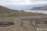 Longyearbyen