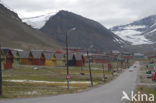 Longyearbyen