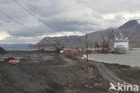 Longyearbyen