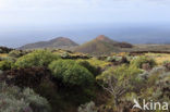 El Hierro