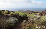 El Hierro