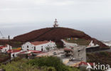 Ermita de Nuestra Señora de Candelaria