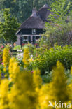 Giethoorn