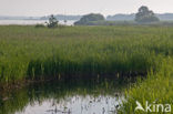 Nationaal Park Weerribben-Wieden