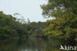 Tamshiyacu Tahuayo Reserve