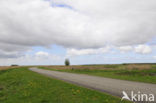 Nationaal Park Lauwersmeer