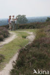 Nationaal Park Sallandse Heuvelrug