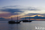 Raja Ampat Eilanden