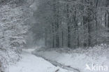 De Mortelen en Heerenbeek