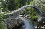 old Packhorse bridge