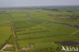 Natuurgebied Oude Riet