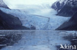 Gletsjer Garibaldi