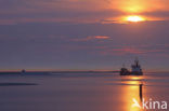 Maasvlakte