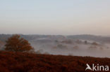 Nationaal Park Veluwezoom