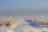 Nationaal Park De Hoge Veluwe