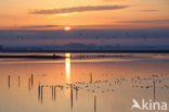 Polder Arkemheen