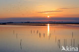 Polder Arkemheen