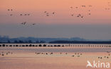 Polder Arkemheen