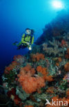 Komodo National Park