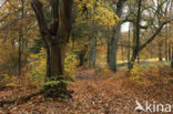 Nationaal Park Veluwezoom