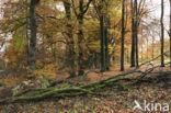 Nationaal Park Veluwezoom