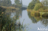 Nationaal Park Weerribben-Wieden