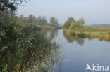 Nationaal Park Weerribben-Wieden