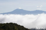 Parque Nacional de Pico del Teide